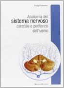 Anatomia del Sistema Nervoso centrale e periferico dell' uomo