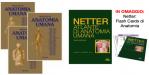 Trattato di Anatomia Umana + Atlante di Anatomia Umana di Netter + Flash Cards Netter OMAGGIO