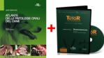 ODONTOSTOMATOLOGIA IN PROMOZIONE - TESTO: ATLANTE PATOLOGIE ORALI DEL CANE + DVD ODONTOSTOMATOLOGIA PROCEDURE  CLINICO-CHIRURGICHE