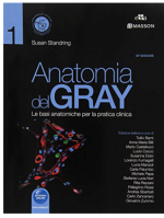 Anatomia del Gray - Le basi anatomiche per la pratica clinica - 40a Ediz. ( penultima )