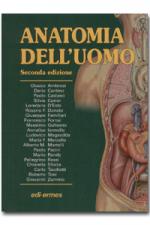 Anatomia dell' uomo