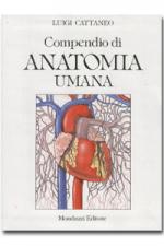 Compendio di anatomia umana