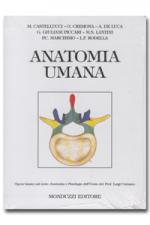 Anatomia Umana