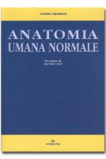 Anatomia umana normale
