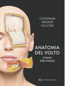 Anatomia del volto - Strato per strato